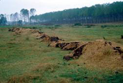 image006.jpg